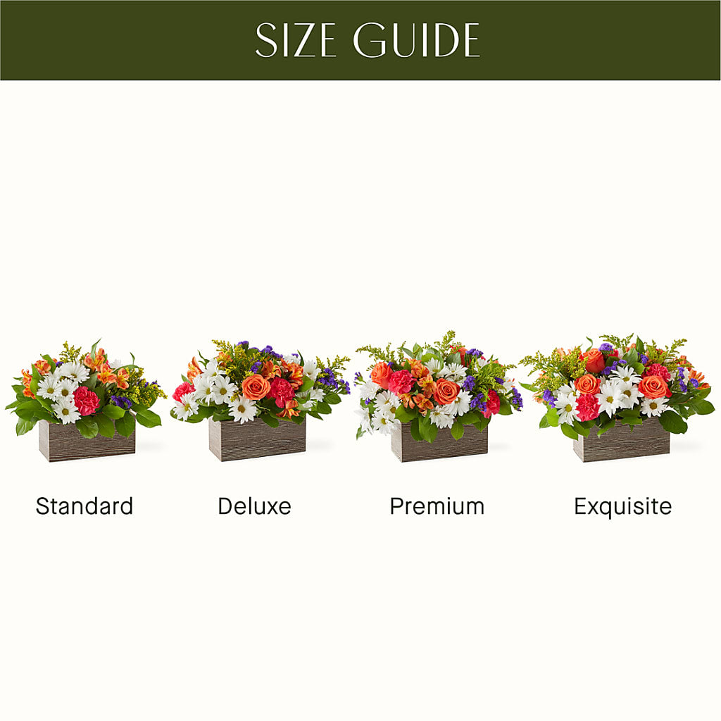 Oopsie Daisy Box Bouquet – MEME'S FRANKLIN FLOWER SHOP, Franklin LA