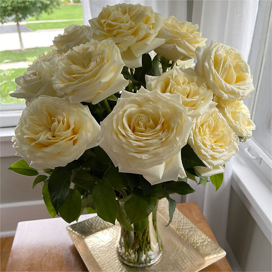 Long Stem Yellow Rose Bouquet – MEME'S FRANKLIN FLOWER SHOP, Franklin LA
