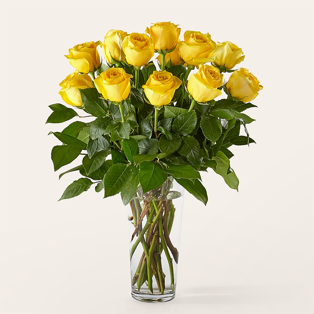 Long Stem Yellow Rose Bouquet – MEME'S FRANKLIN FLOWER SHOP, Franklin LA