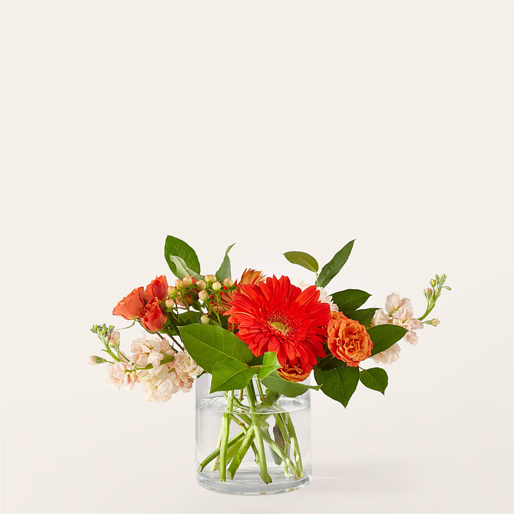 Paloma Please Bouquet – MEME'S FRANKLIN FLOWER SHOP, Franklin LA