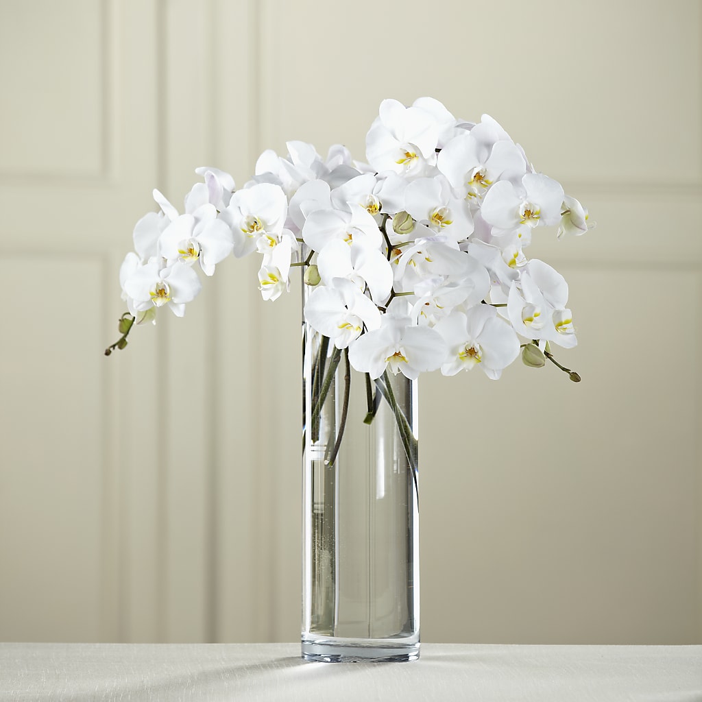 White Phalaenopsis Bouquet – MEME'S FRANKLIN FLOWER SHOP, Franklin LA