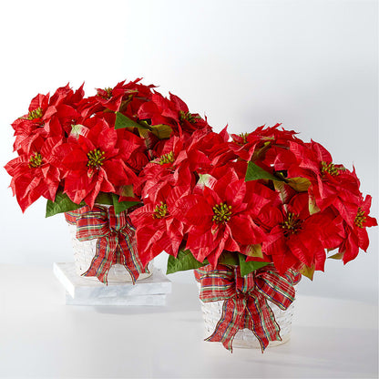 Happiest Holidays Poinsettia Bundle – MEME'S FRANKLIN FLOWER SHOP, Franklin LA