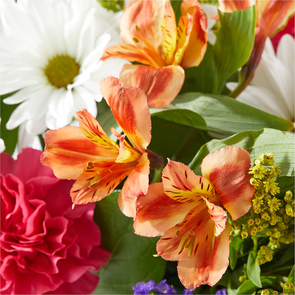 Oopsie Daisy Box Bouquet – MEME'S FRANKLIN FLOWER SHOP, Franklin LA