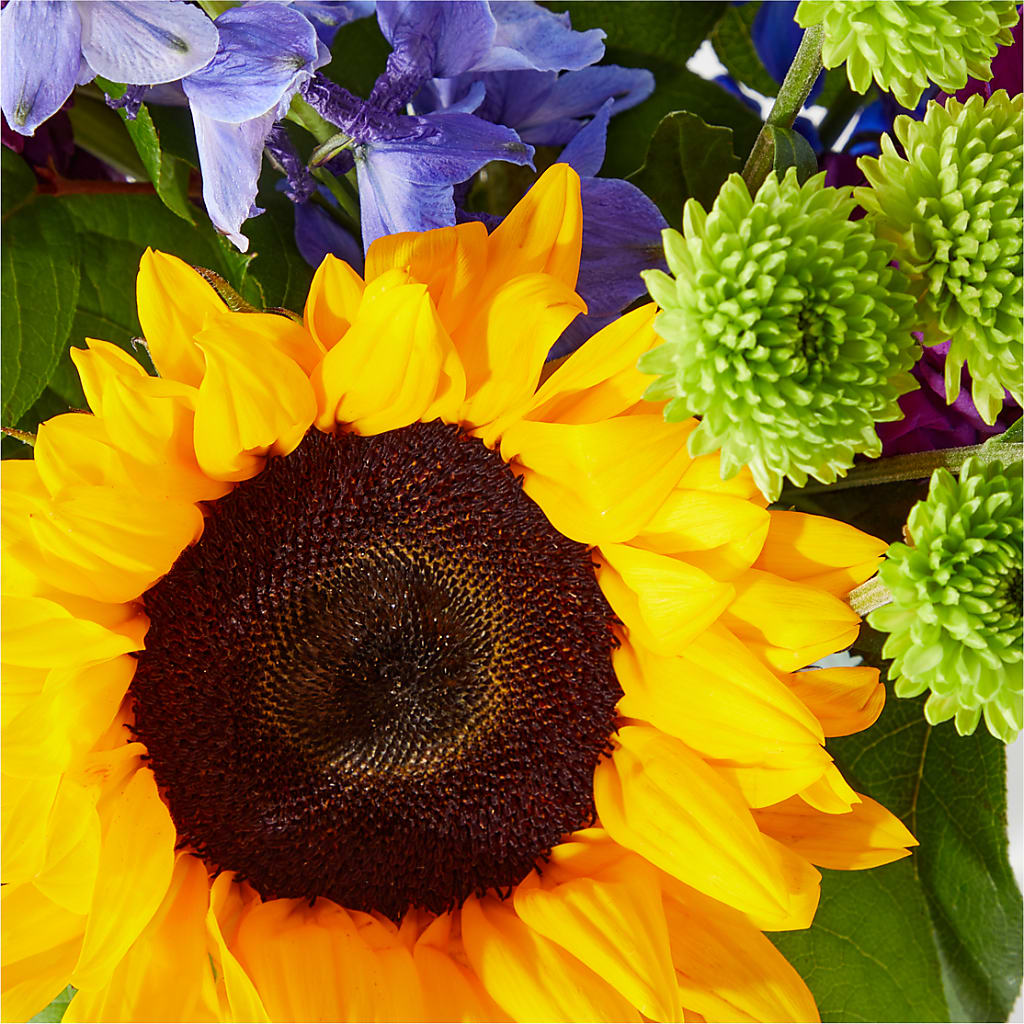 Catching Rays Bouquet – MEME'S FRANKLIN FLOWER SHOP, Franklin LA