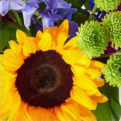 Catching Rays Bouquet – MEME'S FRANKLIN FLOWER SHOP, Franklin LA