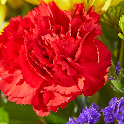 Brighter Days Bouquet – MEME'S FRANKLIN FLOWER SHOP, Franklin LA