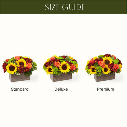 Happy Harvest Garden – MEME'S FRANKLIN FLOWER SHOP, Franklin LA