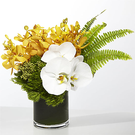 The Tropics – MEME'S FRANKLIN FLOWER SHOP, Franklin LA