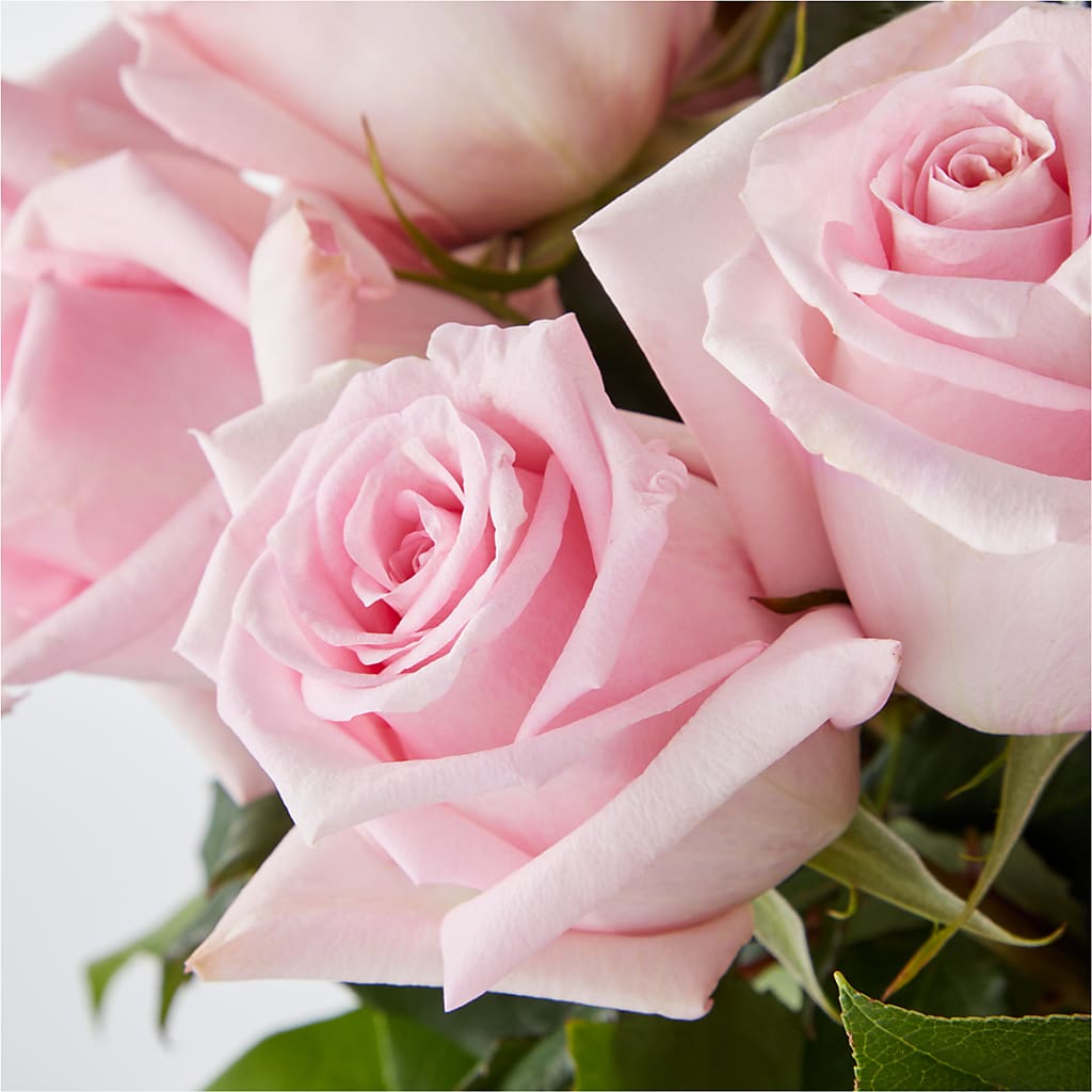 Picture Perfect Pink Rose Bouquet – MEME'S FRANKLIN FLOWER SHOP, Franklin LA