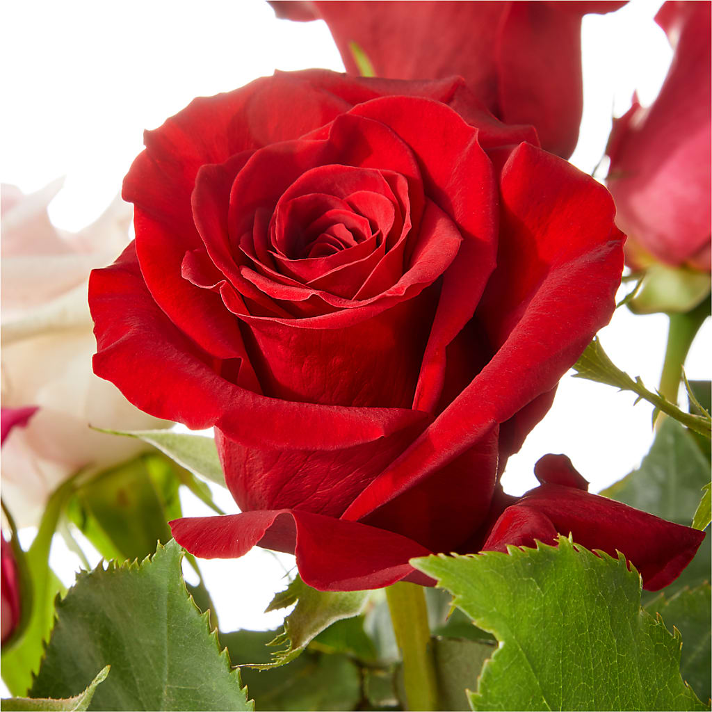 Love Notes Rose Bouquet – MEME'S FRANKLIN FLOWER SHOP, Franklin LA
