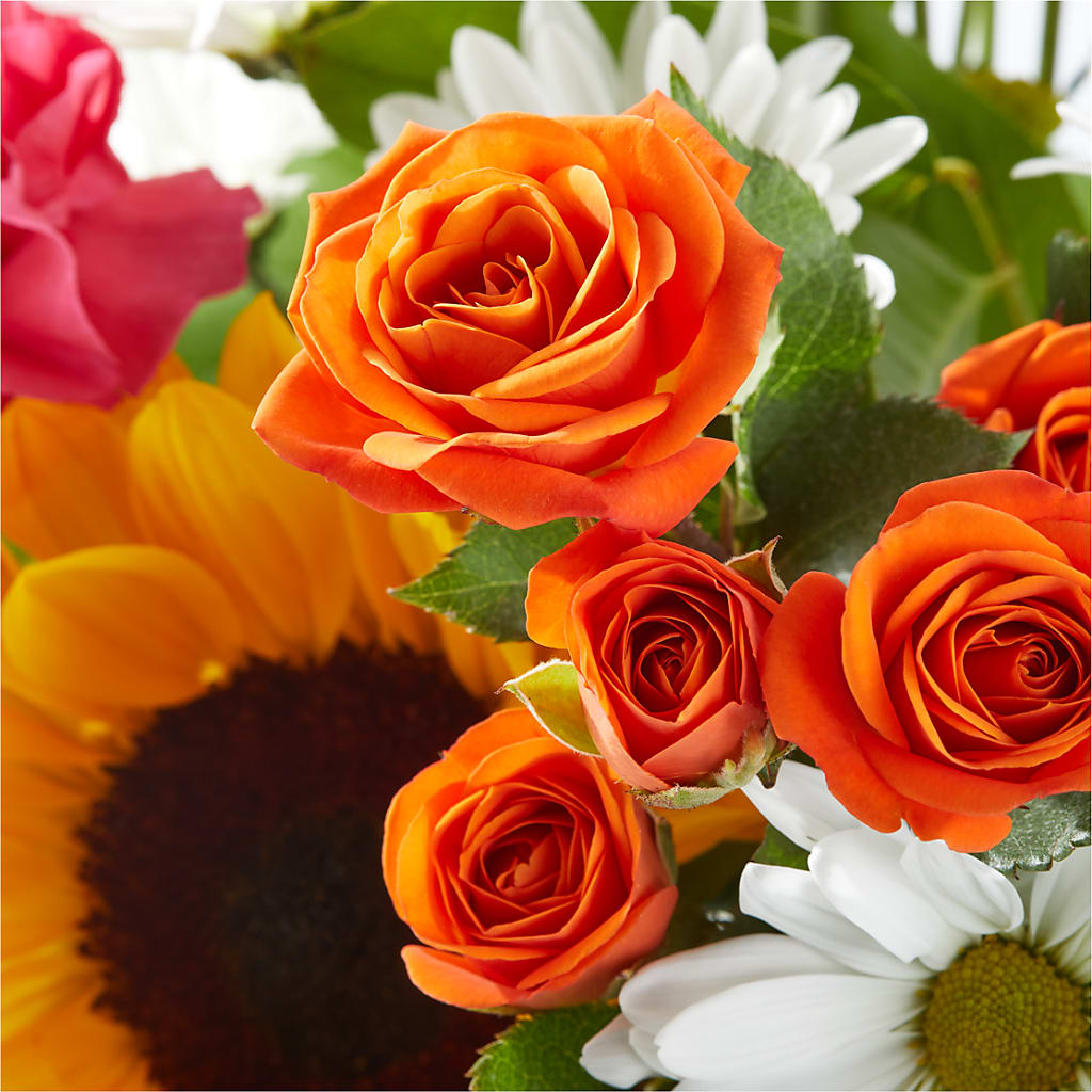 Sun-drenched Blooms Bouquet – MEME'S FRANKLIN FLOWER SHOP, Franklin LA