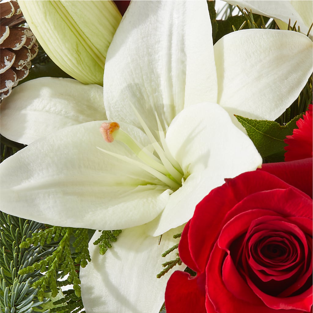 Oh So Jolly Bouquet – MEME'S FRANKLIN FLOWER SHOP, Franklin LA