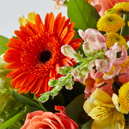 Autumn Sunshine Bouquet – MEME'S FRANKLIN FLOWER SHOP, Franklin LA