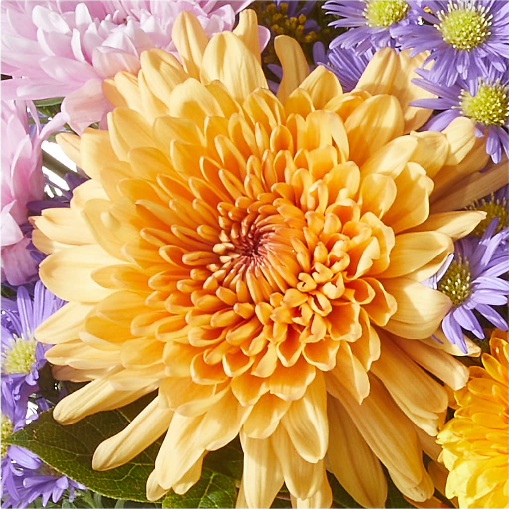Countryside Bouquet – MEME'S FRANKLIN FLOWER SHOP, Franklin LA
