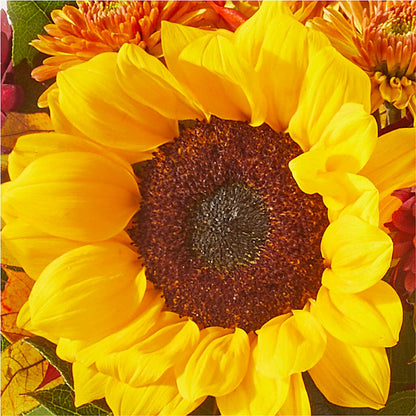Sunny Side Bouquet – MEME'S FRANKLIN FLOWER SHOP, Franklin LA