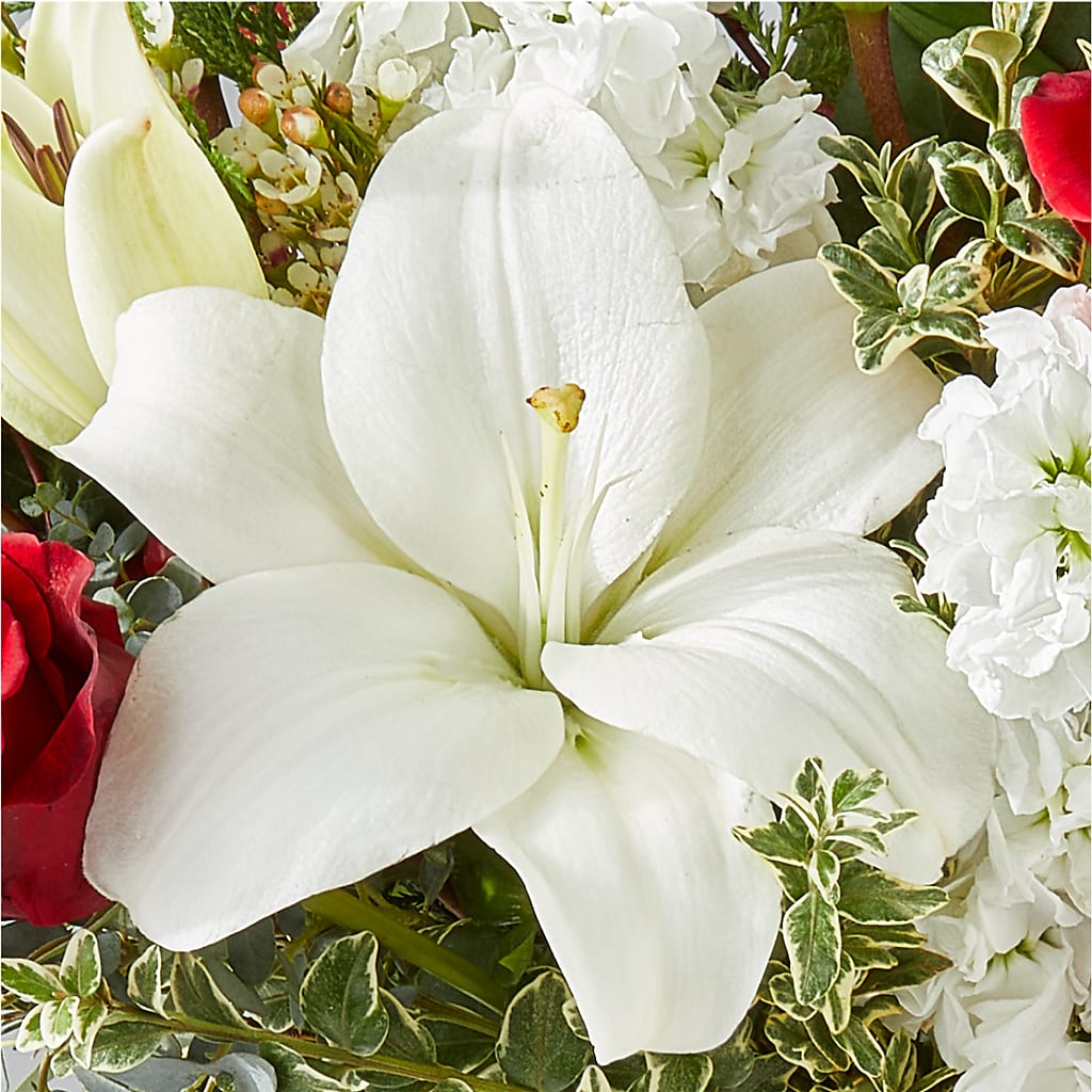 Twinkle Lights Bouquet – MEME'S FRANKLIN FLOWER SHOP, Franklin LA