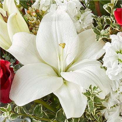 Twinkle Lights Bouquet – MEME'S FRANKLIN FLOWER SHOP, Franklin LA