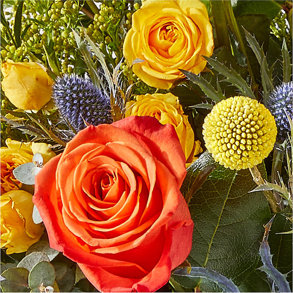 Disco Bouquet – MEME'S FRANKLIN FLOWER SHOP, Franklin LA