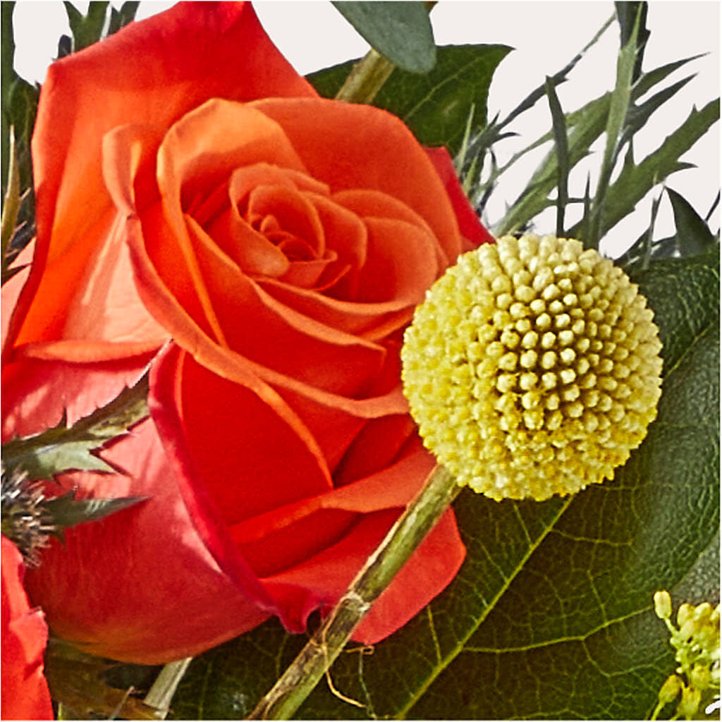 Disco Bouquet – MEME'S FRANKLIN FLOWER SHOP, Franklin LA