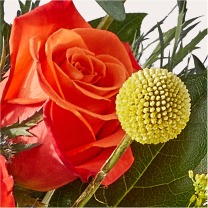 Disco Bouquet – MEME'S FRANKLIN FLOWER SHOP, Franklin LA