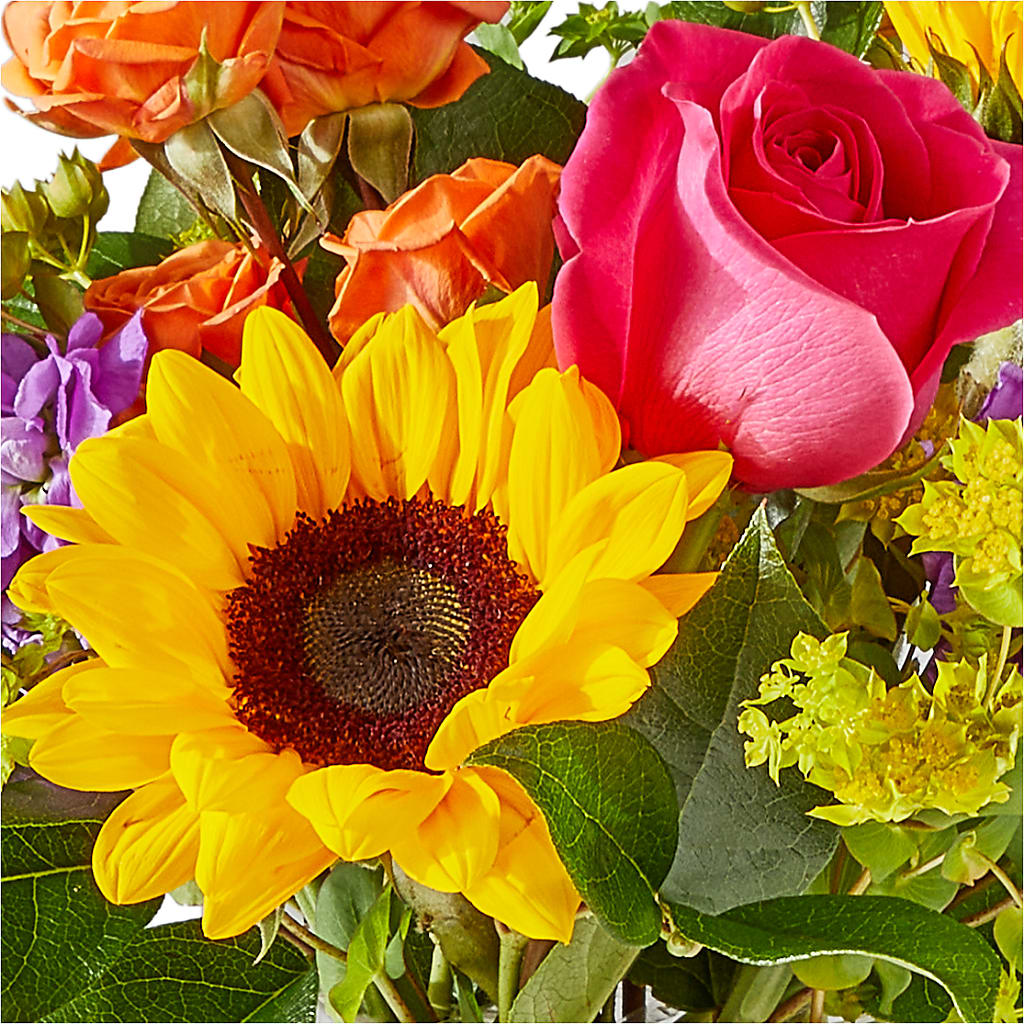 Vibrant Greetings Bouquet – MEME'S FRANKLIN FLOWER SHOP, Franklin LA