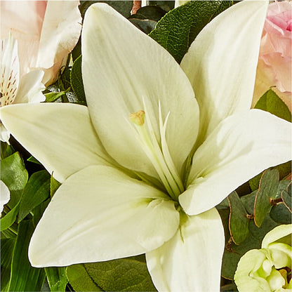 Ballet Slippers Bouquet – MEME'S FRANKLIN FLOWER SHOP, Franklin LA