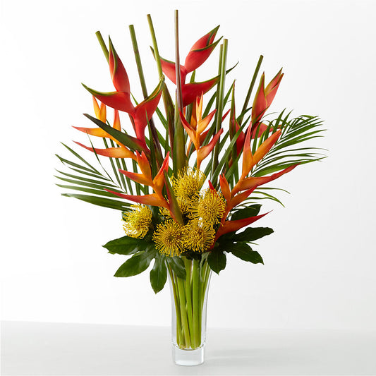 The Drama – MEME'S FRANKLIN FLOWER SHOP, Franklin LA