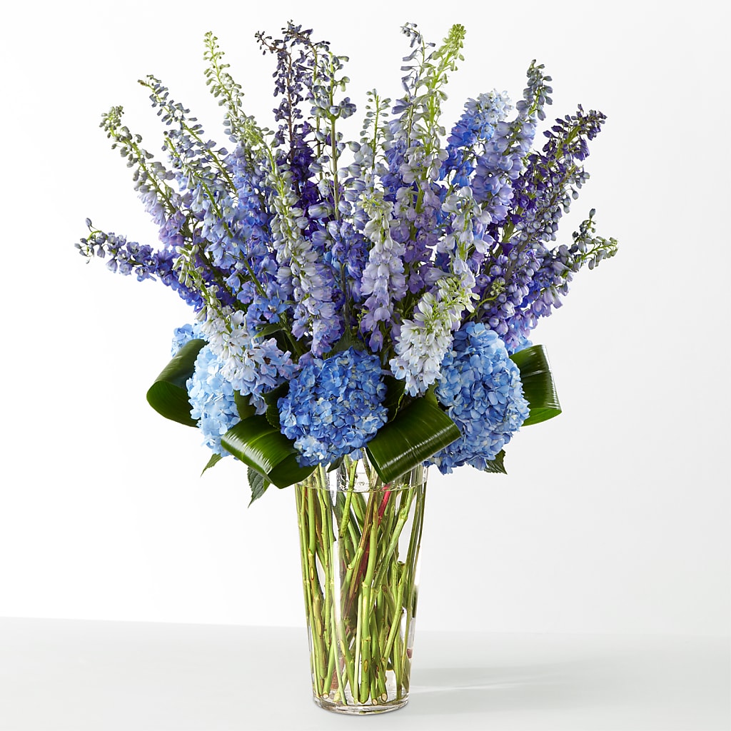 The Editorial – MEME'S FRANKLIN FLOWER SHOP, Franklin LA