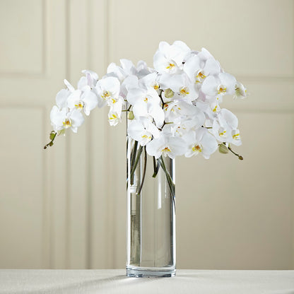 White Phalaenopsis Bouquet – MEME'S FRANKLIN FLOWER SHOP, Franklin LA